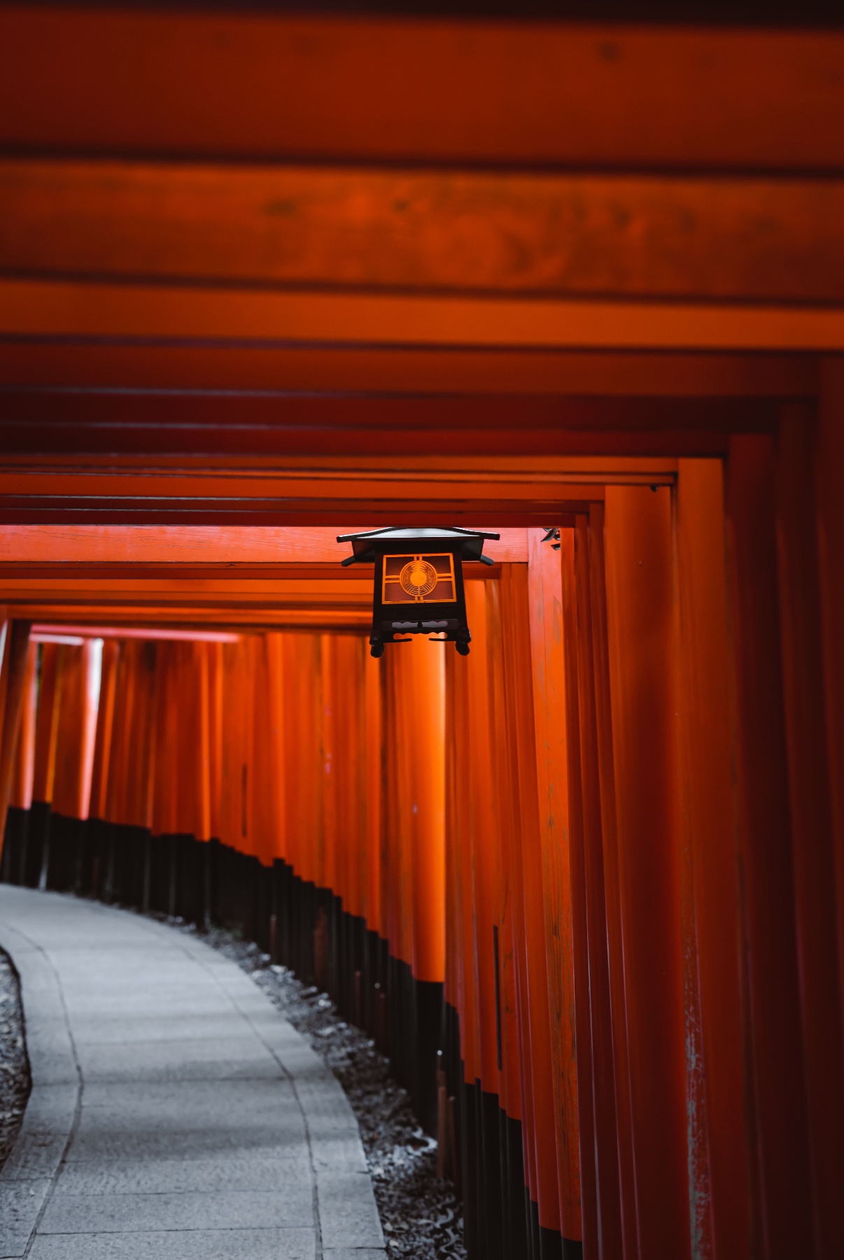 A curving stone path beneath rows of vermilion torii gates with a hanging lantern